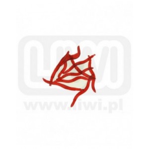 Sztuczne robaki DA14 Sztuczne robaki DA14