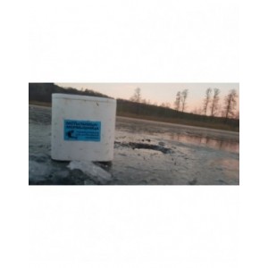 Pudełko termiczne P12 Pudełko termiczne P12