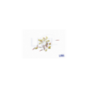 Kiwak GRAND PRIX KN4/2 Kiwak GRAND PRIX KN4/2