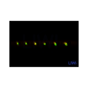 Mormyszka Ikra MWY9/1 sport Mormyszka Ikra MWY9/1 sport