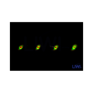 Mormyszka Trójkąt Bermudzki fluo MW6/3 wolfram Mormyszka Trójkąt Bermudzki fluo MW6/3 wolfram