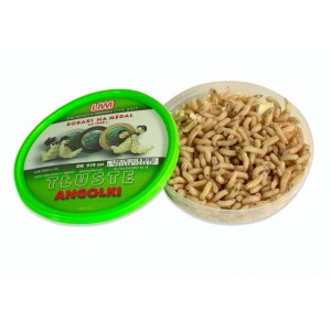 Robak Biały Tłusty Angolek AB Robak Biały Tłusty Angolek AB