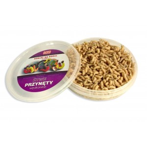 Robak Biały Tłusty Angolek AB