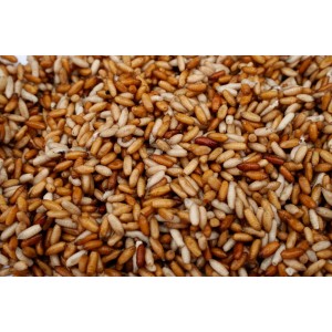 Kaster 0,5 L Kaster 0,5 L