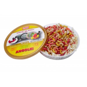 Robak Biały Tłusty Angolek kolorowy AK Robak Biały Tłusty Angolek kolorowy AK