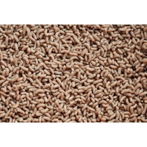 Pinka Biała PIN B Pinka Biała PIN B