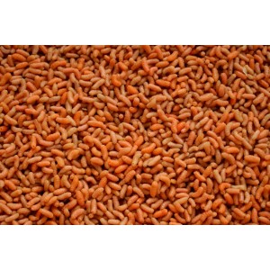 Pinka Pomarańczowa PIN P Pinka Pomarańczowa PIN P