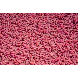 Pinka Fluo PIN F Pinka Fluo PIN F