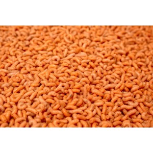 Robak Biały Tłusty Angolek pomarańczowy AP Robak Biały Tłusty Angolek pomarańczowy AP