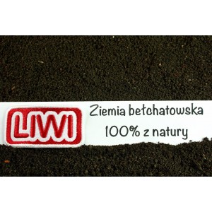 Ziemia Bełchatowska Ziemia Bełchatowska