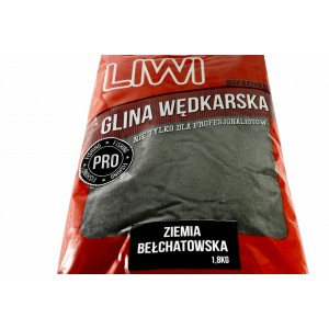 Ziemia Bełchatowska Ziemia Bełchatowska