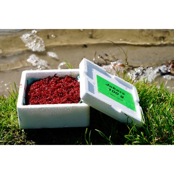 Ochotka zanętowa Jokers 100g