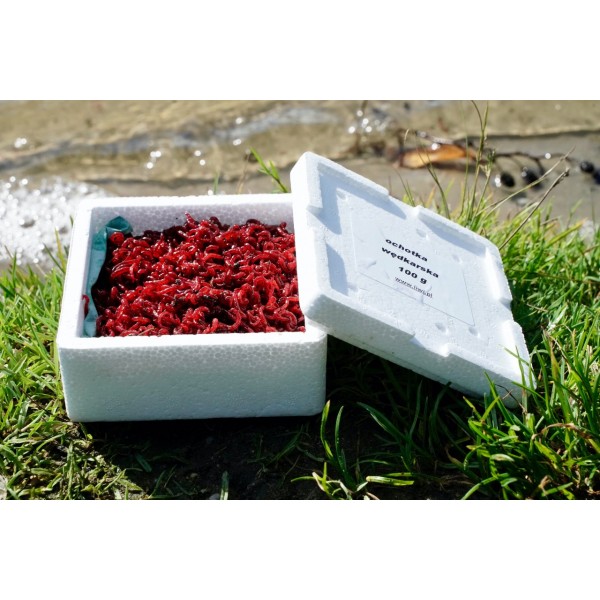 copy of Zawodnicza Ochotka Wędkarska