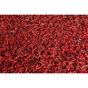 Zawodnicza Ochotka Wędkarska 250g Zawodnicza Ochotka Wędkarska 250g