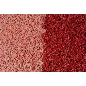 Zawodnicza Ochotka Wędkarska 250g Zawodnicza Ochotka Wędkarska 250g