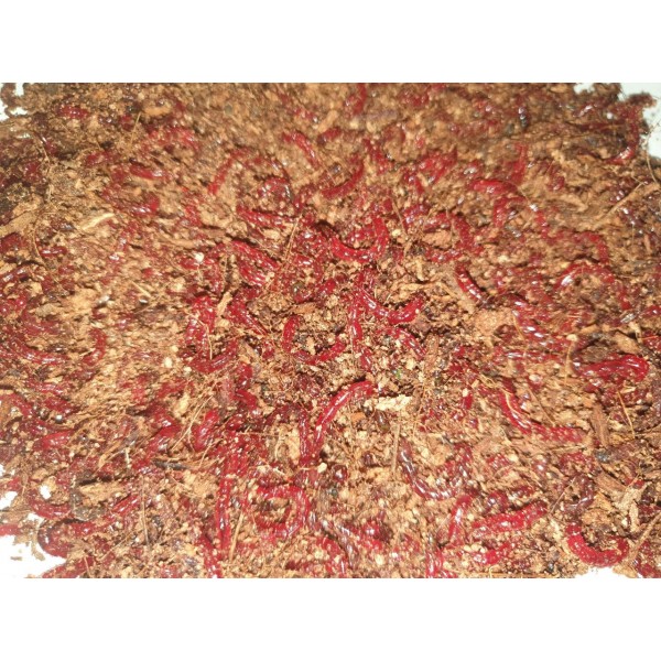 copy of Włókno Kokosowe 0,5 kg (ok. 5l)