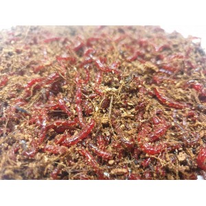 Profesjonalna mieszanka do ochotki wędkarskiej 0,5kg