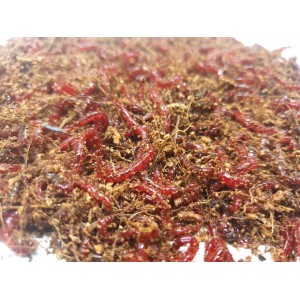 Profesjonalna mieszanka do ochotki wędkarskiej 0,5kg