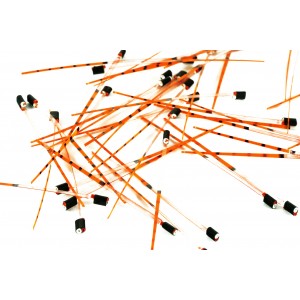 copy of Kiwak "Kadra Litwy" RED KS4/5