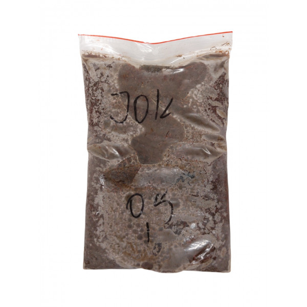 Ochotka zanętowa mrożona 0,5 kg