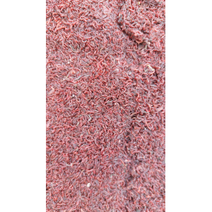 Ochotka zanętowa Jokers polski 500g