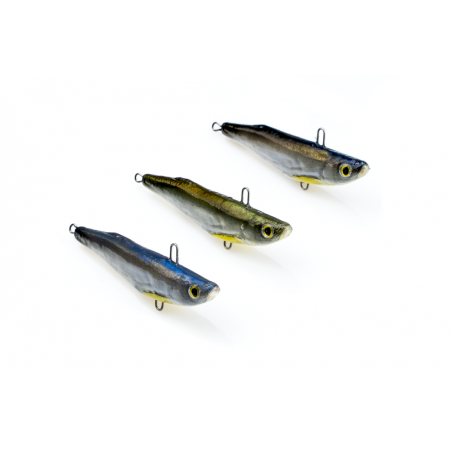 Cykada Boleniowa KS7