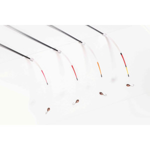 copy of Kiwak „Kiwaki Mistrzów” KS2/5 sport