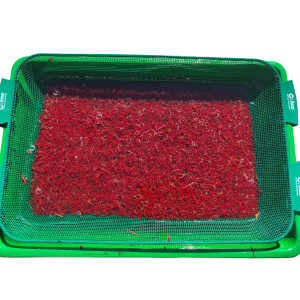 Sito 2,5mm z kuwetą do przepuszczania ochotki Sensas A10