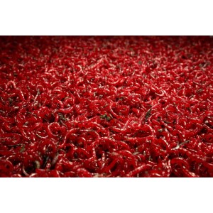 Zawodnicza Ochotka Wędkarska 400g