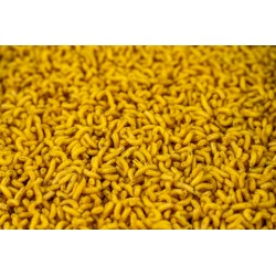 Robak Biały Tłusty Angolek żółty AŻ Robak Biały Tłusty Angolek żółty AŻ